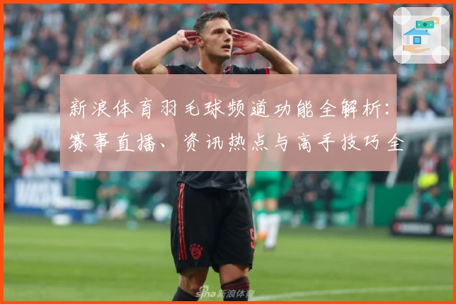 新浪体育羽毛球频道功能全解析：赛事直播、资讯热点与高手技巧全覆盖