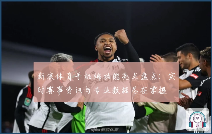 新浪体育手机端功能亮点盘点：实时赛事资讯与专业数据尽在掌握