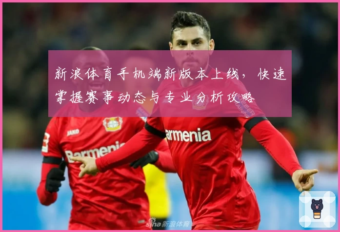 新浪体育手机端新版本上线，快速掌握赛事动态与专业分析攻略