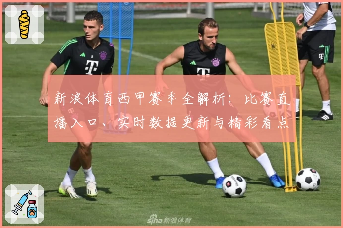 新浪体育西甲赛季全解析：比赛直播入口、实时数据更新与精彩看点汇总