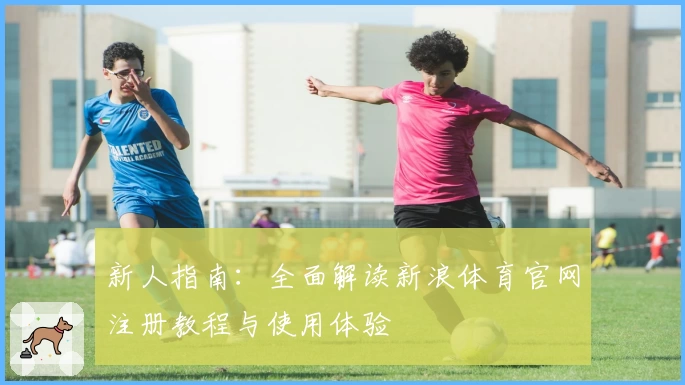 新人指南：全面解读新浪体育官网注册教程与使用体验
