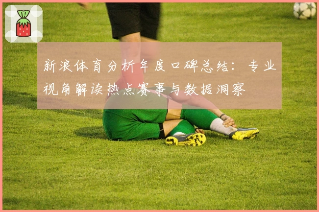 新浪体育分析年度口碑总结：专业视角解读热点赛事与数据洞察