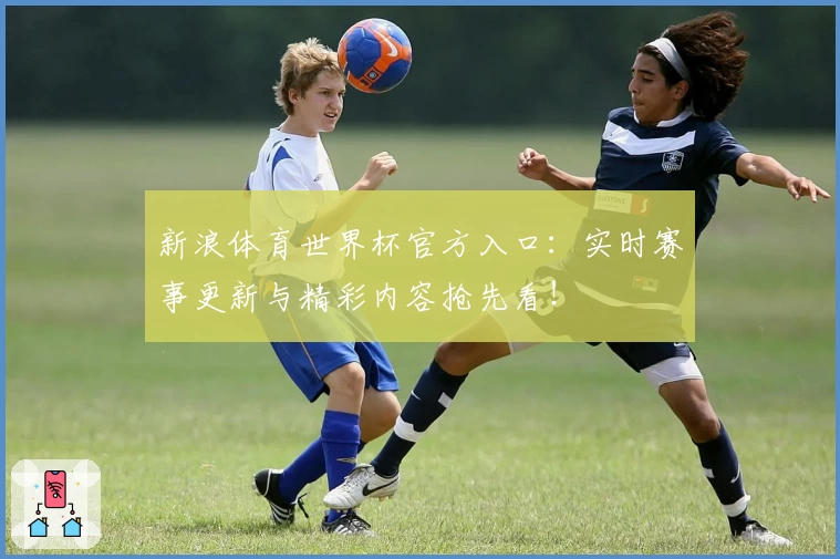 新浪体育世界杯官方入口：实时赛事更新与精彩内容抢先看！