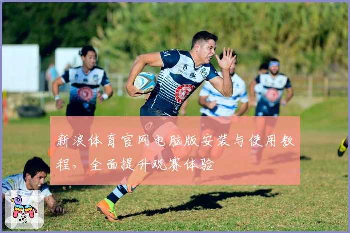 新浪体育官网电脑版安装与使用教程，全面提升观赛体验