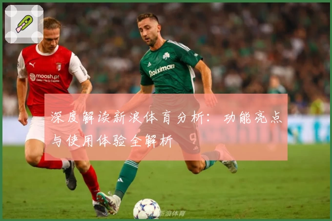 深度解读新浪体育分析：功能亮点与使用体验全解析