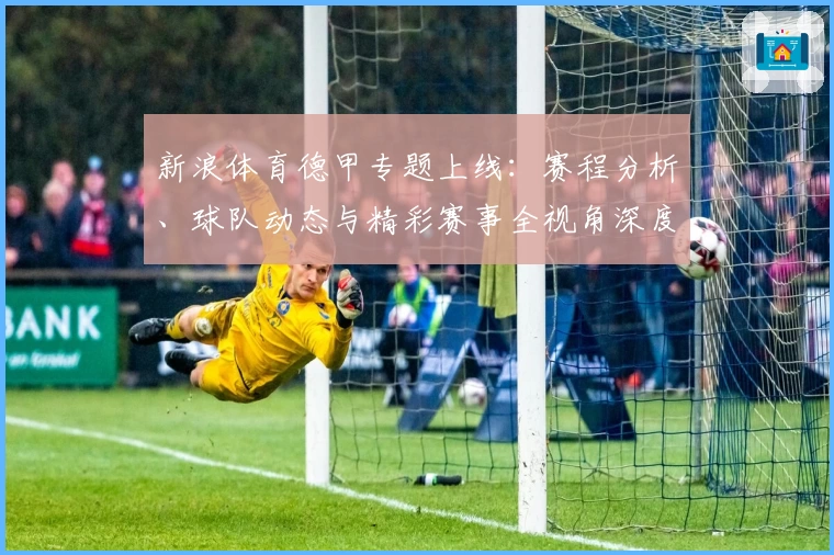 新浪体育德甲专题上线：赛程分析、球队动态与精彩赛事全视角深度解读